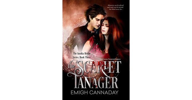 27243140-_sr1200630_