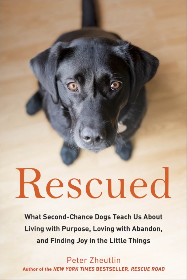 rescued-cover-683x1024