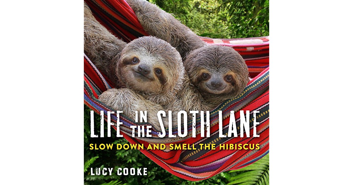 35489144-_sr1200630_